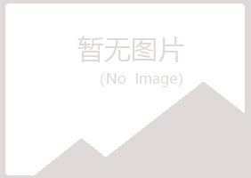 铁山区沉淀工程有限公司